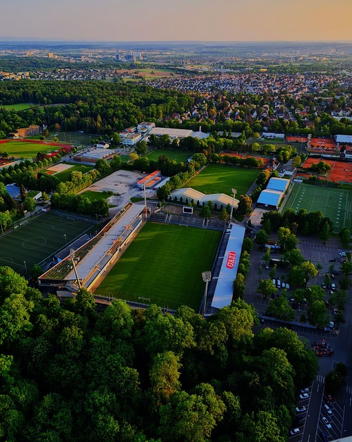 挥官的到来 挥官的到来