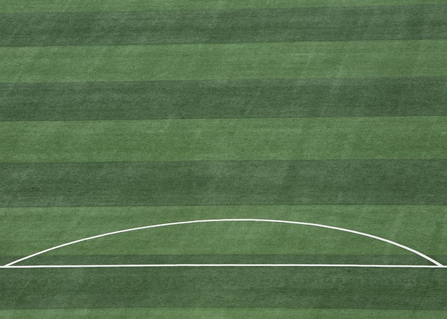 寄予厚望 寄予厚望