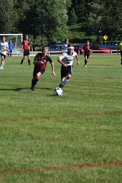 改善技术细 改善技术细