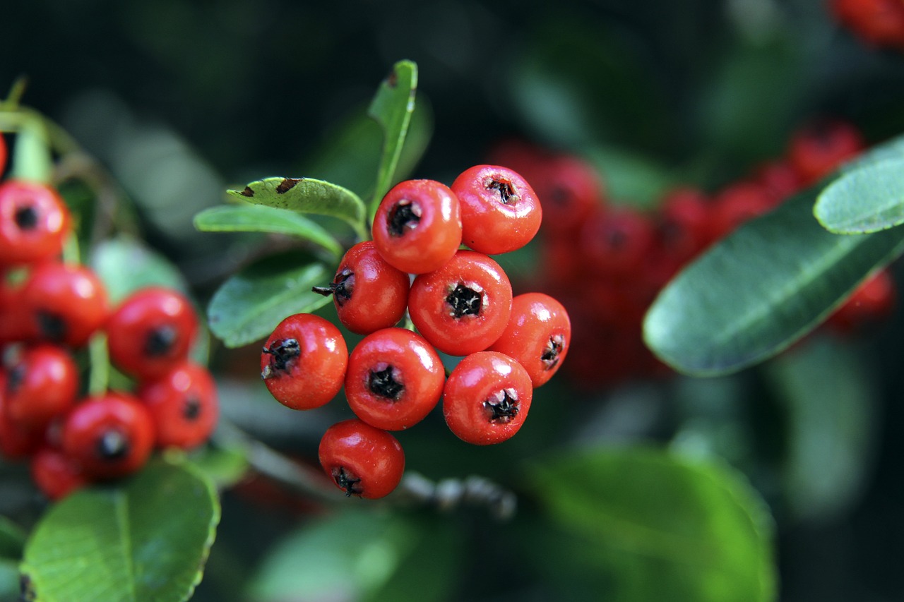 味着刻板与 味着刻板与