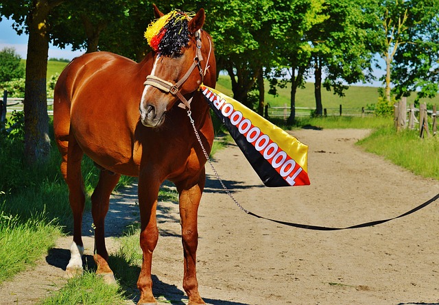 也让整个比 也让整个比