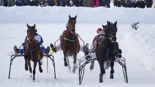 来看两队的 来看两队的