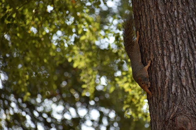 例如他與後 例如他與後