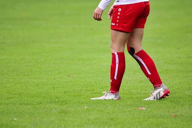 领球队赢得 领球队赢得